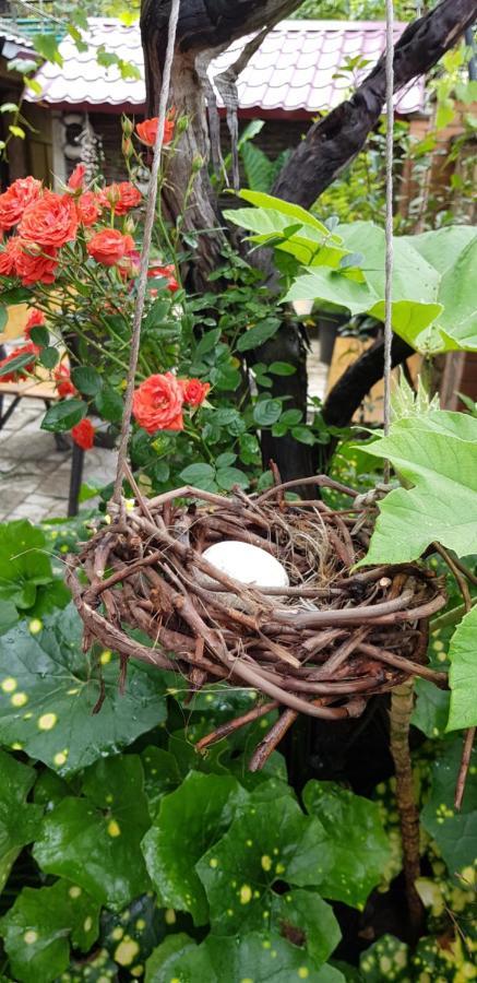 Green House In باتومي المظهر الخارجي الصورة