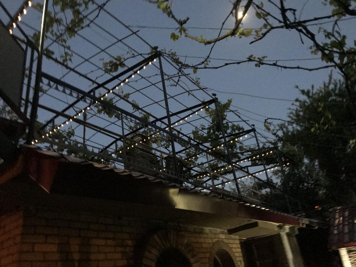 Green House In باتومي المظهر الخارجي الصورة