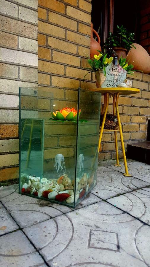 Green House In باتومي المظهر الخارجي الصورة