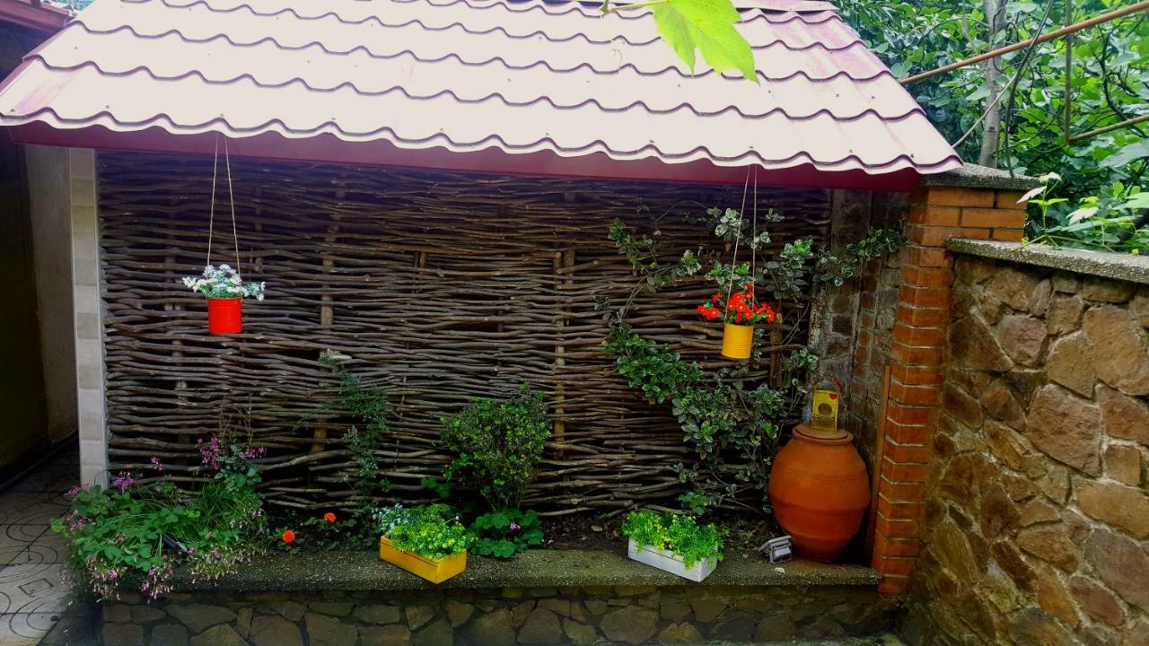 Green House In باتومي المظهر الخارجي الصورة